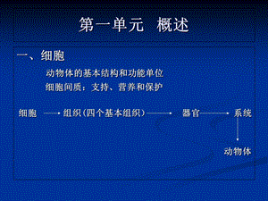 最新动物解剖、组织、胚胎学 PPT课件PPT文档.ppt