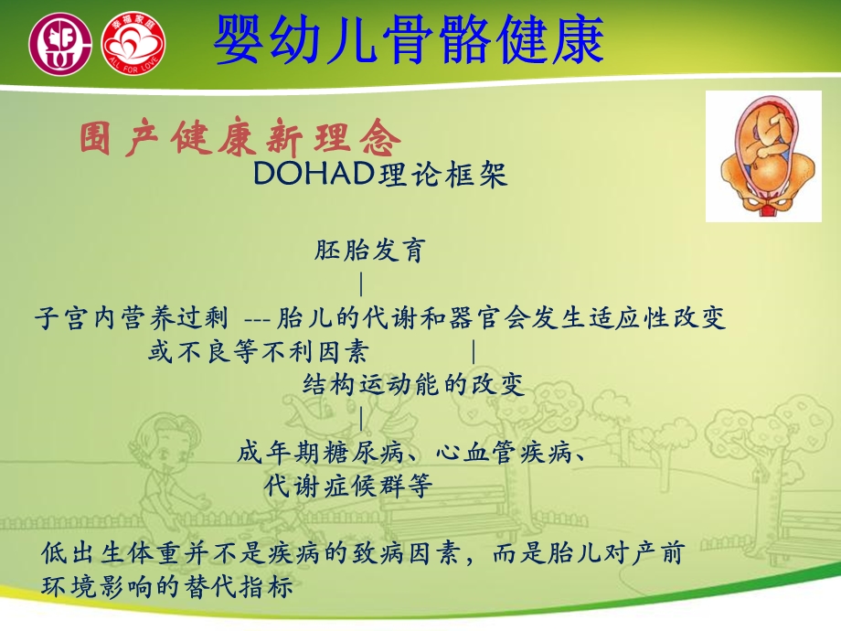 关爱母婴骨骼与牙齿健康三PPT文档.ppt_第2页