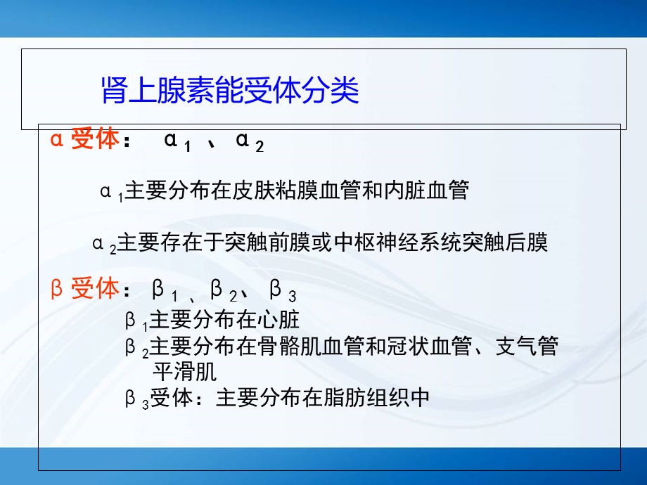 肾上腺素能受体文档资料.ppt_第1页