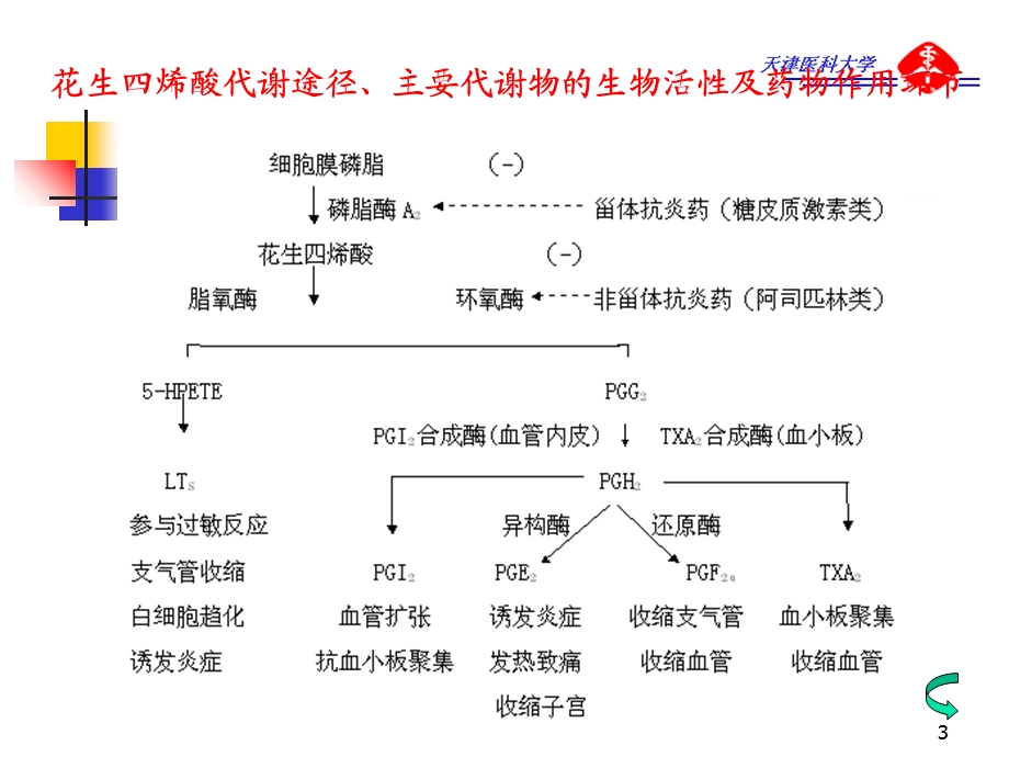 AntipyreticAnalgesic解热镇痛抗炎药文档资料.ppt_第3页