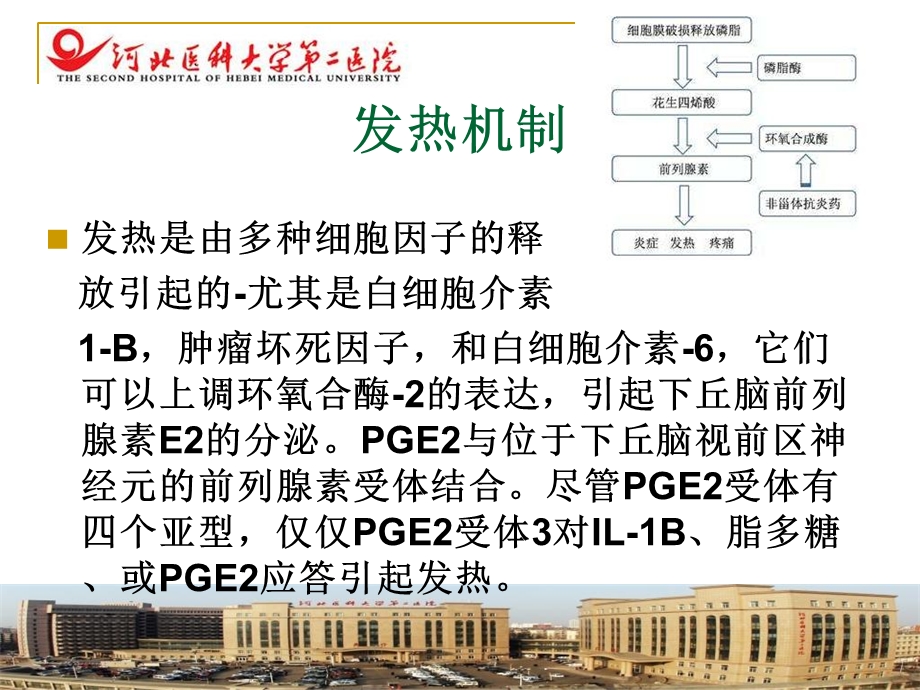 icu患者发热PPT课件.ppt_第3页