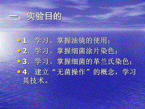 实验二显微镜的使用与细菌形态与染色文档资料.ppt