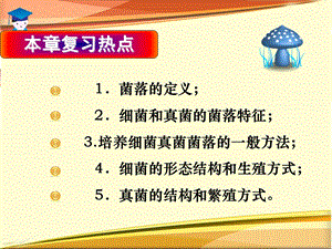 swt布广泛的细菌和真菌总复1习精选文档.ppt