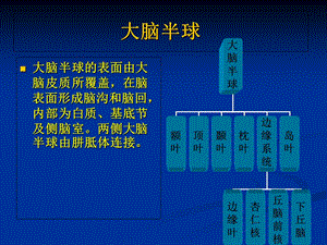 大脑半球病损表现及定位PPT课件.ppt