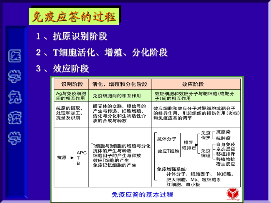 医学免疫学第十二章T细胞应答文档资料.ppt_第2页