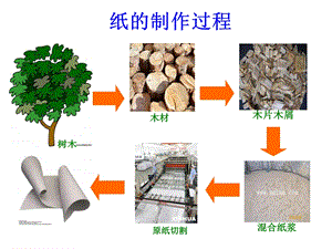 北师大版品德与生活二下纸从哪里来.ppt