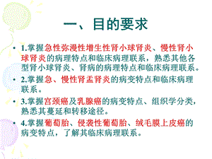 病理学实习泌尿系统和生殖系统疾病文档资料.ppt