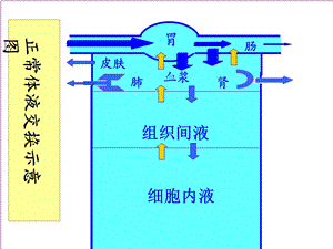 最新临床生化检查讲课PPT文档.ppt