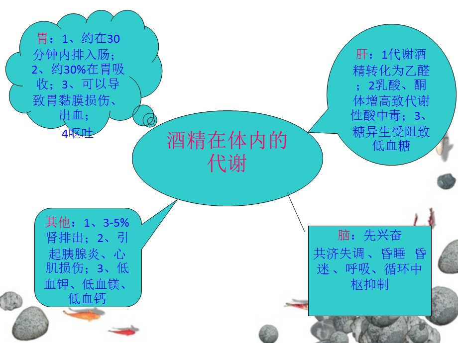 最新：机能学实验设计：不同方法对急性酒精中毒解救的比较文档资料.ppt_第3页