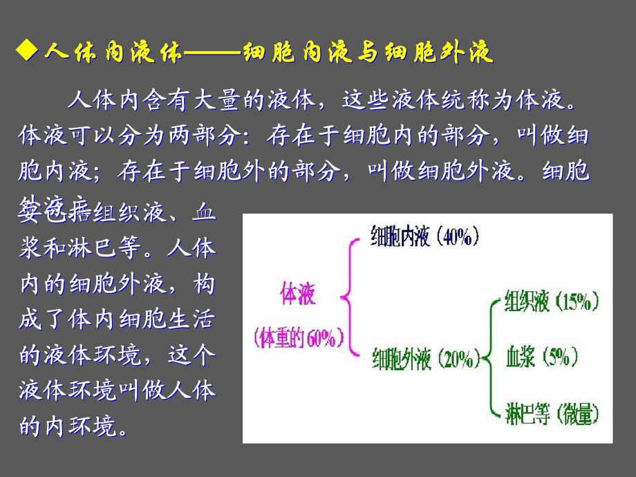 最新人教版教学课件311生物必修3课堂教学课件—细胞生活的环境PPT文档.ppt_第2页