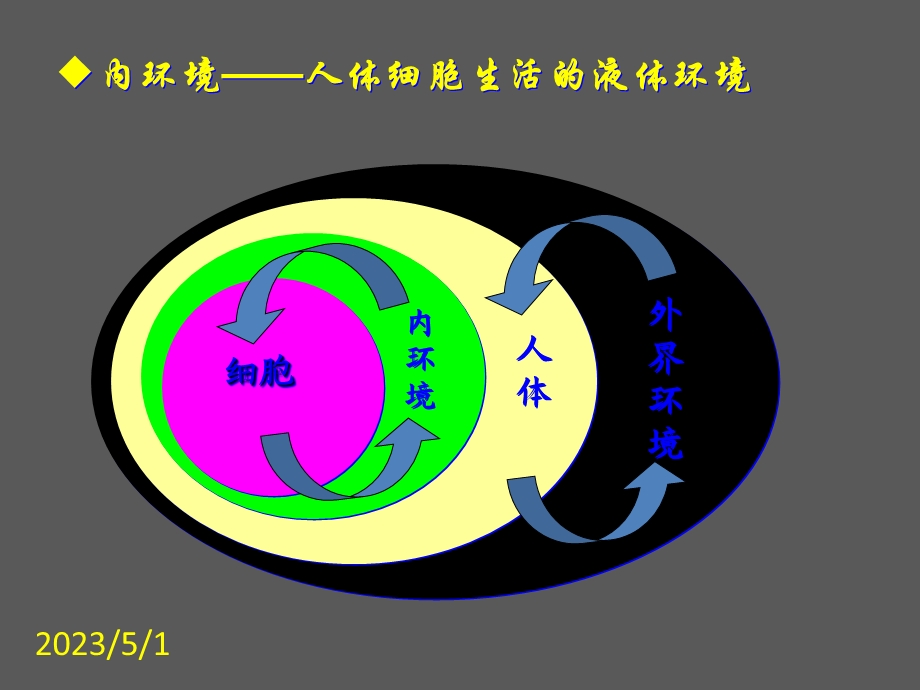 最新人教版教学课件311生物必修3课堂教学课件—细胞生活的环境PPT文档.ppt_第3页