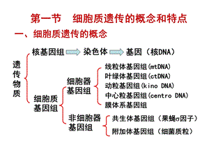 遗传学第十一章细胞质遗传1文档资料.ppt