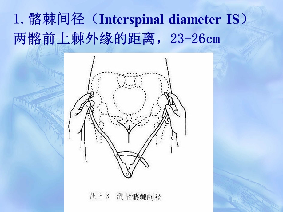 最新：骨盆测课件文档资料.ppt_第2页