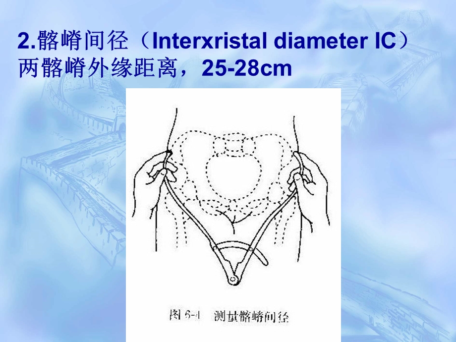 最新：骨盆测课件文档资料.ppt_第3页