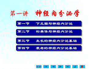 基础医学神经内分泌学PPT课件.ppt