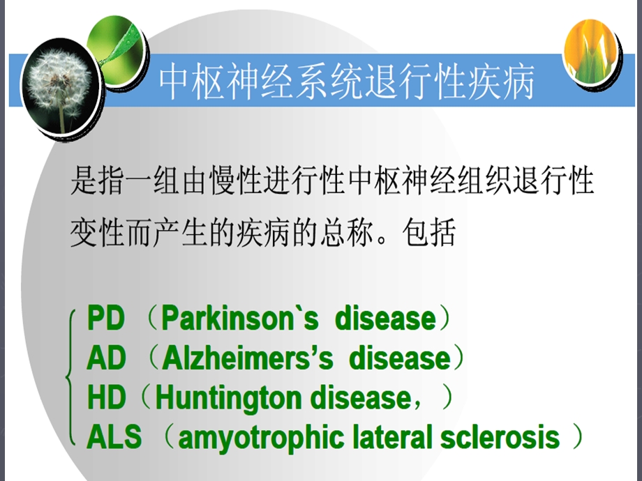 最新：最新17 中枢退行性病药物PPT文档文档资料.ppt_第3页