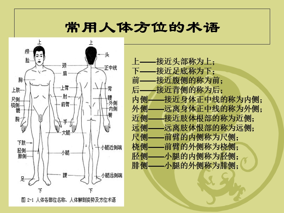 最新复件灵芝保健培训简介资料PPT文档.ppt_第3页