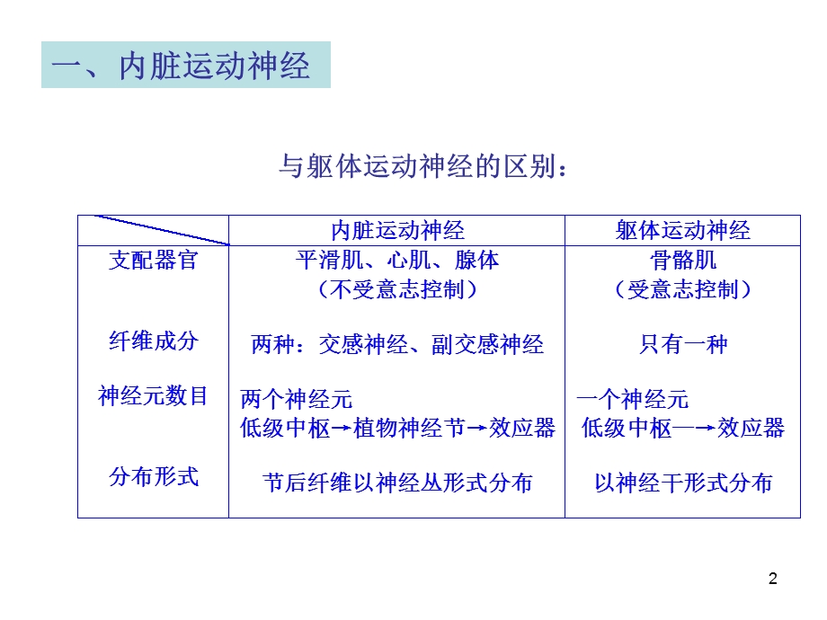 七讲：内脏神经系统PPT文档资料.ppt_第2页