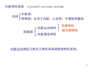 七讲：内脏神经系统PPT文档资料.ppt