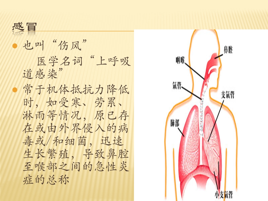 最新：白领常见病文档资料.pptx_第1页