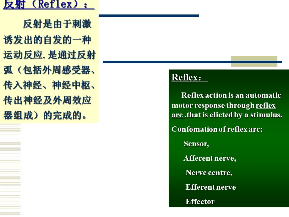 神经反射的检查文档资料.ppt_第3页