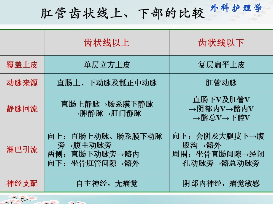 最新直肠与肛管疾病病人的护理PPT文档.ppt_第3页