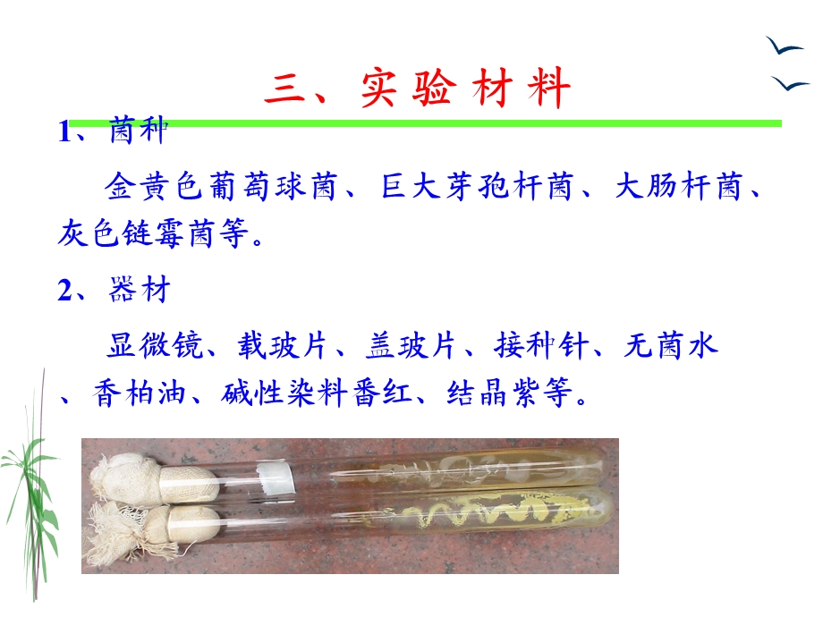 实验二细菌、放线菌的形态观察精选文档.ppt_第3页