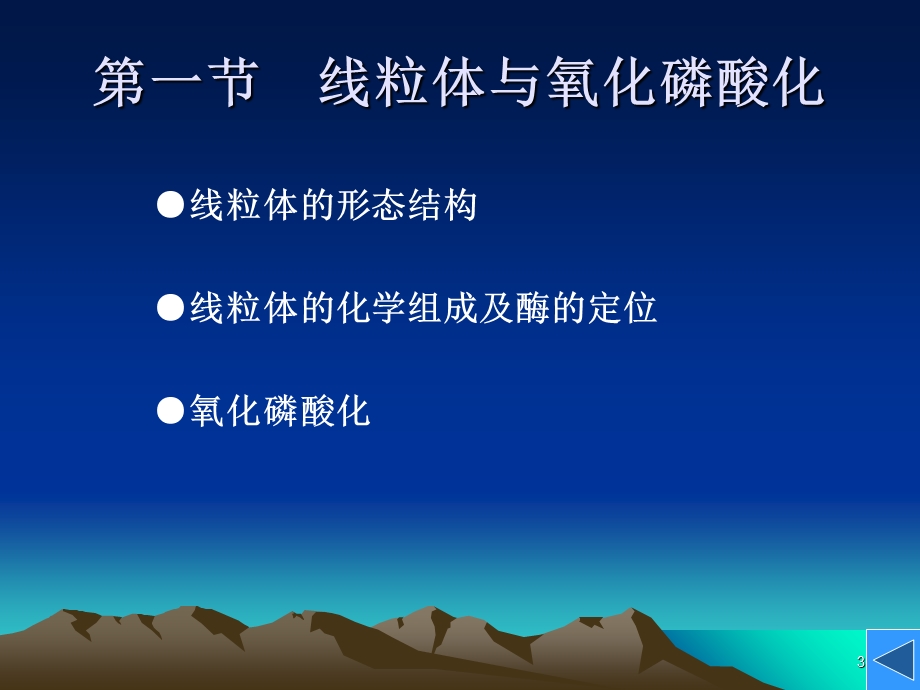 6细胞的能量转换线粒体和叶绿体5文档资料.ppt_第3页