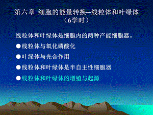 6细胞的能量转换线粒体和叶绿体5文档资料.ppt