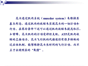 昆虫肌肉系统PPT文档资料.ppt