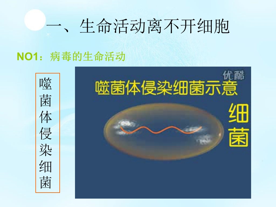 人教版教学课件11从生物圈到细胞1PPT课件.ppt_第2页