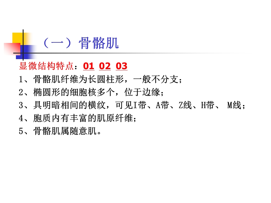 22第二章肌肉和神经PPT文档资料.ppt_第1页