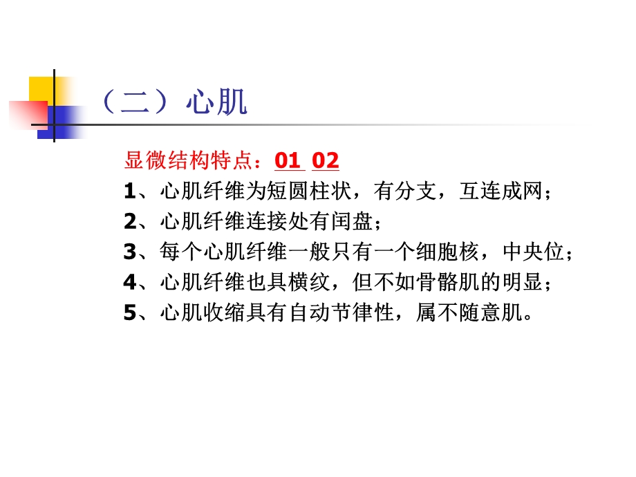 22第二章肌肉和神经PPT文档资料.ppt_第2页