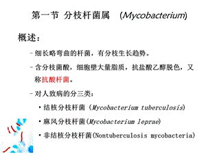 呼吸道感染的细菌文档资料.ppt