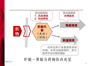 肝功能障碍患者合理用药.ppt