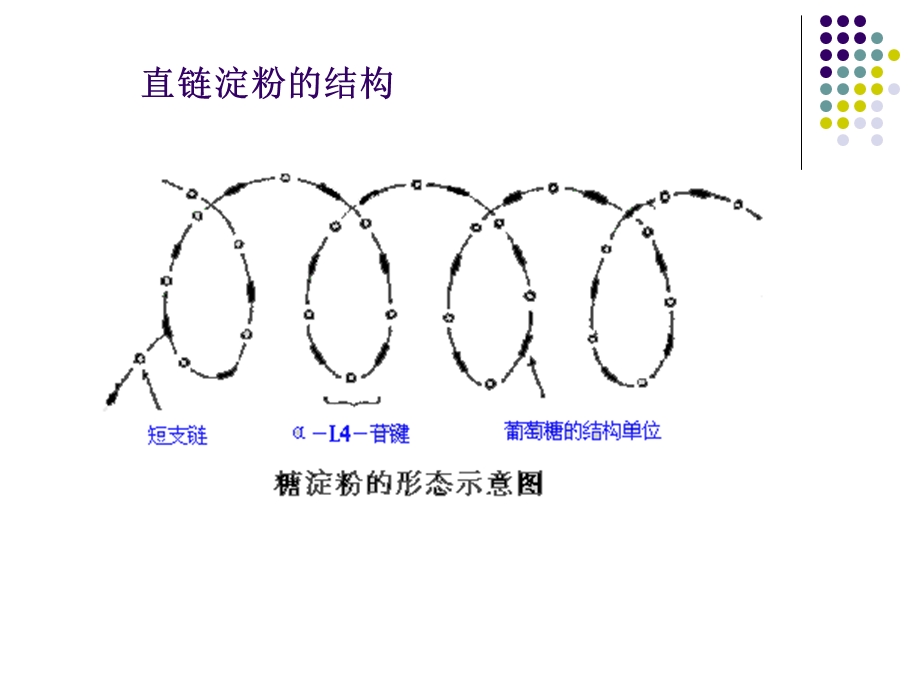 第三章淀粉水解糖的制备名师编辑PPT课件.ppt_第3页