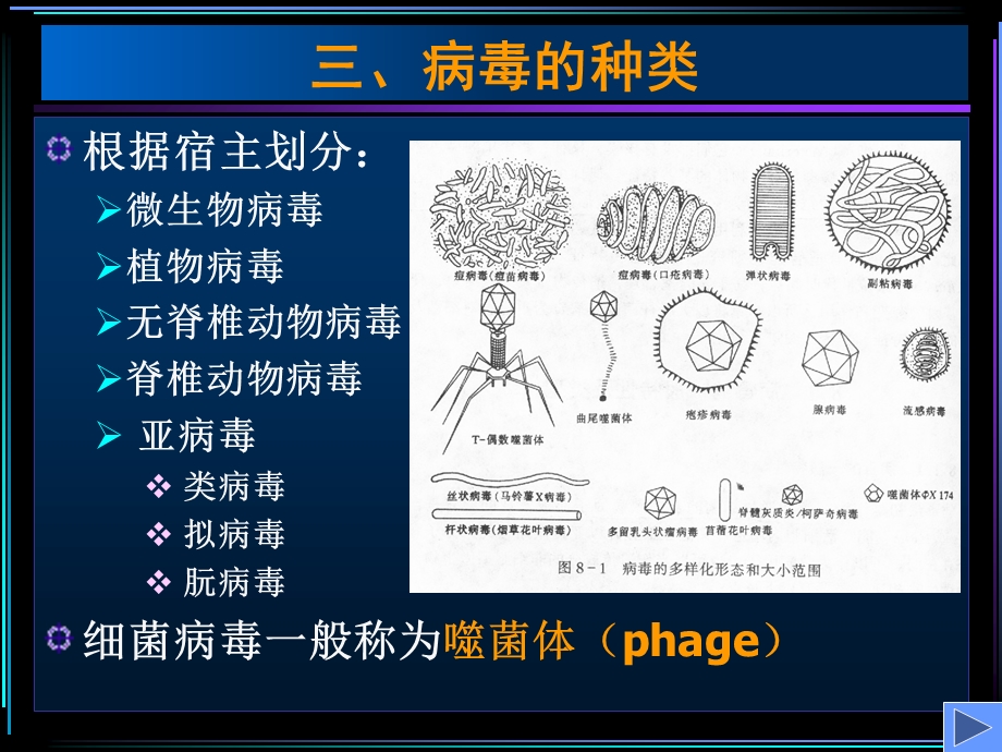 最新第十章细菌及病毒的遗传分析hPPT文档.ppt_第3页