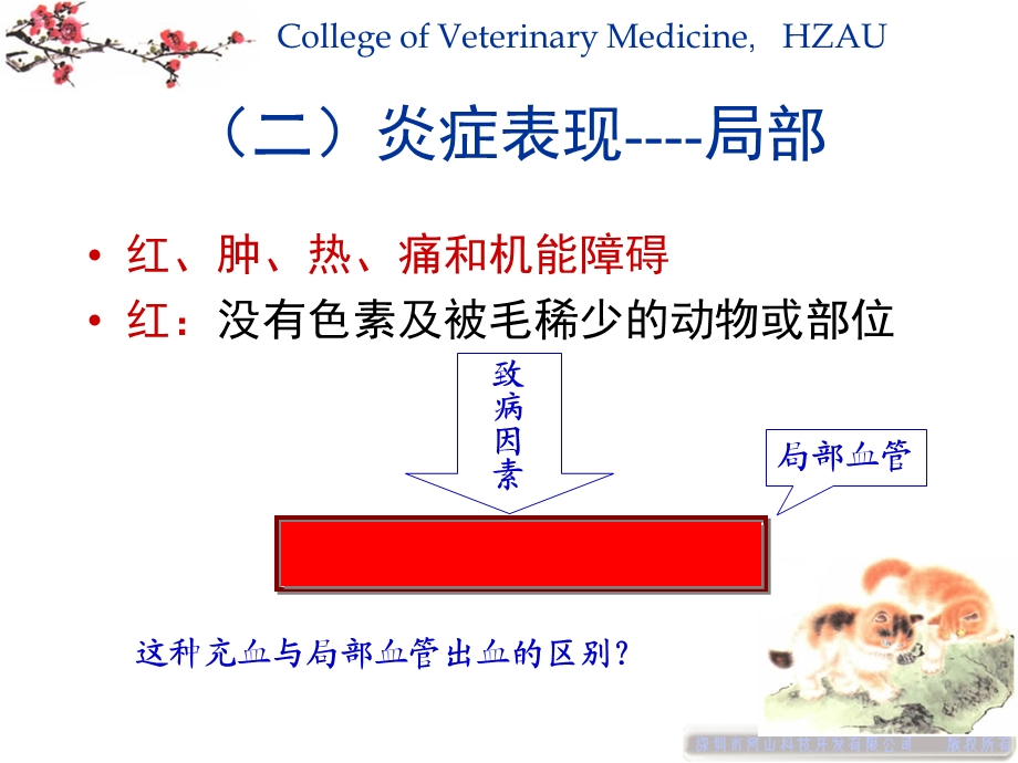 2第一章炎症疗法PPT课件.ppt_第3页