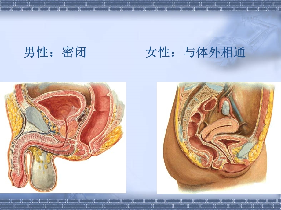 急性腹膜炎专科医学生用PPT文档资料.ppt_第2页