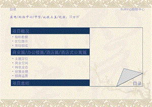 英国伯明翰斗牛场购物中心项目调研报告.ppt