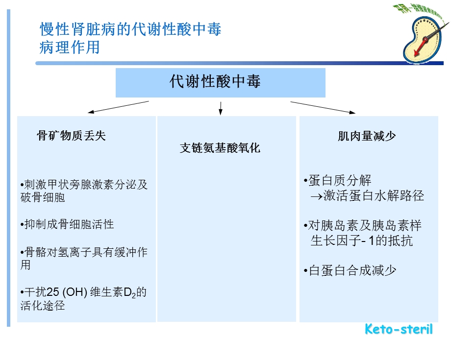 酮酸的内分泌和代谢效应文档资料.ppt_第3页