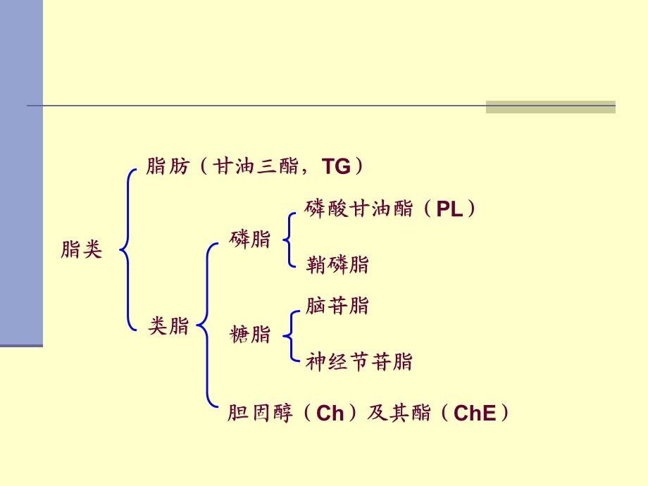 [临床医学]第七章 脂代谢.ppt_第3页