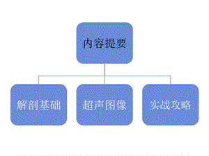 最新超声引导下臂丛神经阻滞知更PPT文档.ppt