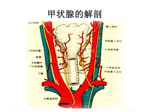 最新：第四讲 颈部疾病课件文档资料.ppt