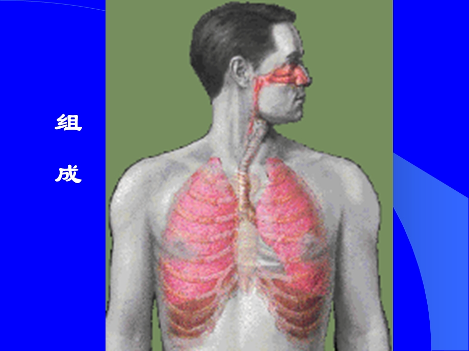 第七章呼吸系统疾病文档资料.ppt_第1页