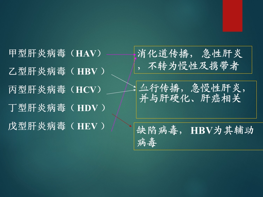 临床病原学肝炎病毒PPT文档资料.ppt_第3页