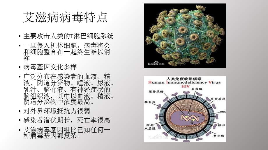 最新艾滋病预防PPT文档.ppt_第3页