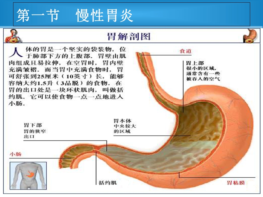 最新病理学基础PPT文档.ppt_第3页