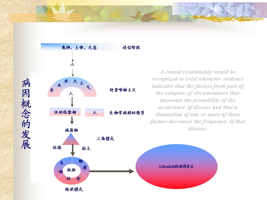 最新复旦医学院流行病学病因及其推断PPT文档.ppt_第3页