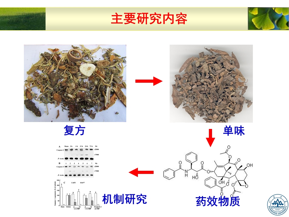 最新：医学ppt中药抗肿瘤研究文档资料.ppt_第3页